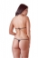 Body Sex Opener S/L